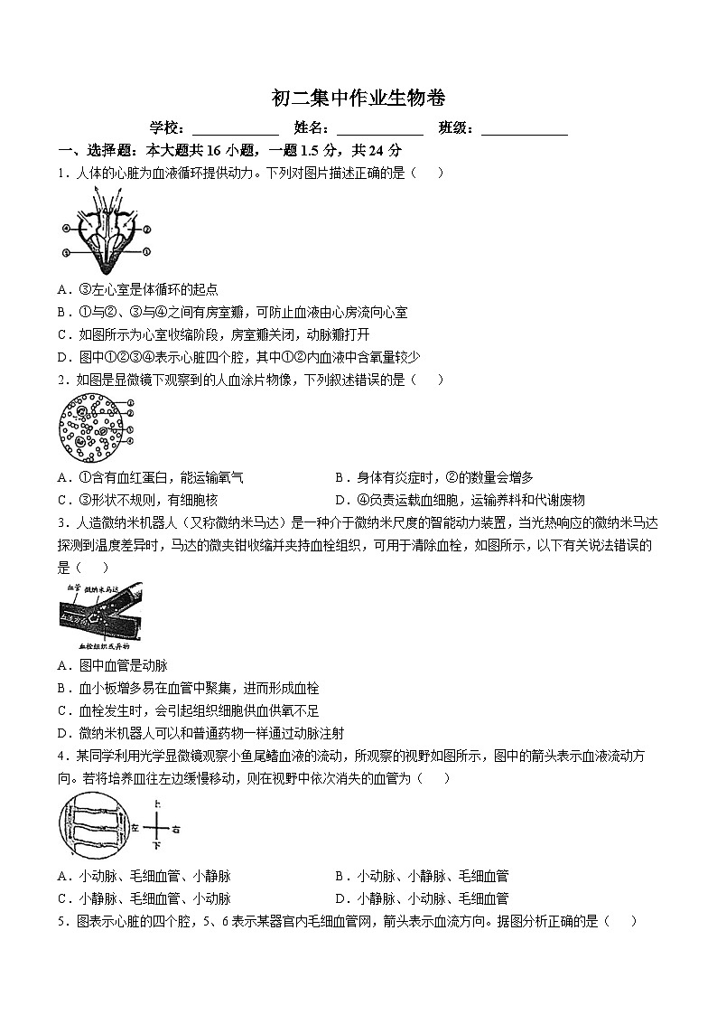 江苏省南通市田家炳初级中学2024-2025学年八年级上学期10月份月考生物试题01