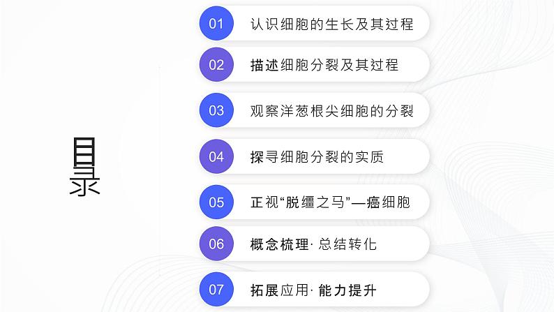 1.3.1 细胞通过分裂产生新细胞-初中生物七年级上册 同步教学课件（人教版2024）第2页