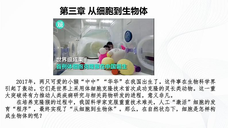 1.3.1 细胞通过分裂产生新细胞-初中生物七年级上册 同步教学课件+教学设计（人教版2024）03