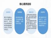 1.3.1 细胞通过分裂产生新细胞-初中生物七年级上册 同步教学课件+教学设计（人教版2024）