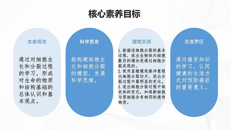 1.3.1 细胞通过分裂产生新细胞-初中生物七年级上册 同步教学课件（人教版2024）第5页