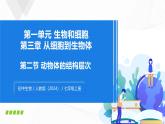 1.3.2 动物体的结构层次-初中生物七年级上册 同步教学课件+教学设计（人教版2024）