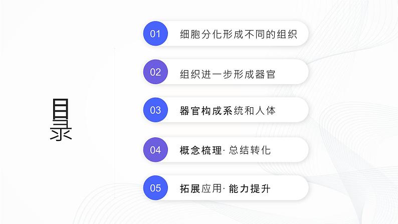 1.3.2 动物体的结构层次-初中生物七年级上册 同步教学课件+教学设计（人教版2024）02