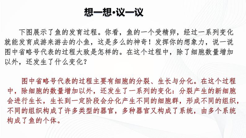 1.3.2 动物体的结构层次-初中生物七年级上册 同步教学课件+教学设计（人教版2024）03