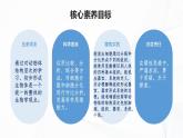 1.3.2 动物体的结构层次-初中生物七年级上册 同步教学课件+教学设计（人教版2024）