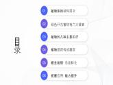 1.3.3 植物体的结构层次-初中生物七年级上册 同步教学课件+教学设计（人教版2024）