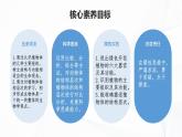 1.3.3 植物体的结构层次-初中生物七年级上册 同步教学课件+教学设计（人教版2024）