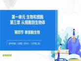 1.3.4 单细胞生物-初中生物七年级上册 同步教学课件+教学设计（人教版2024）