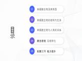 1.3.4 单细胞生物-初中生物七年级上册 同步教学课件+教学设计（人教版2024）