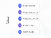 1.3.4 单细胞生物-初中生物七年级上册 同步教学课件+教学设计（人教版2024）