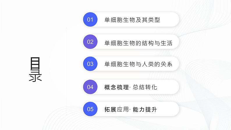 1.3.4 单细胞生物-初中生物七年级上册 同步教学课件+教学设计（人教版2024）02