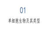 1.3.4 单细胞生物-初中生物七年级上册 同步教学课件+教学设计（人教版2024）