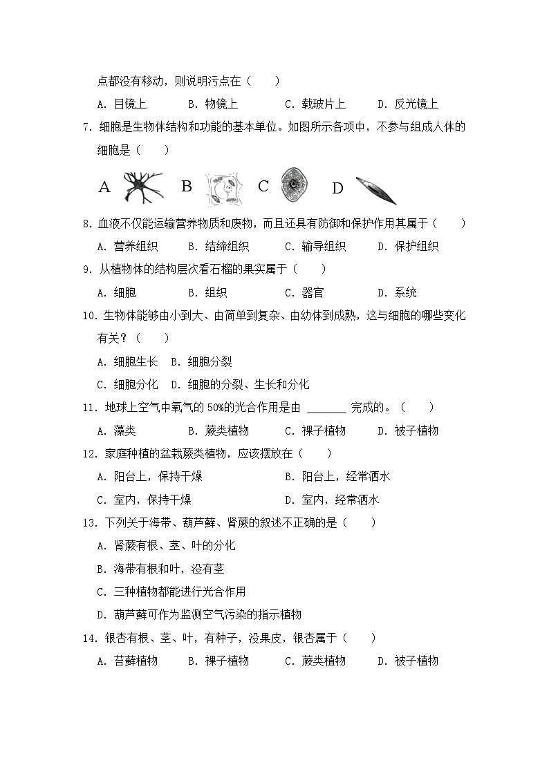 山东省德州市宁津县王铎中学2024--2025学年七年级上学期期中测试生物试卷第2页