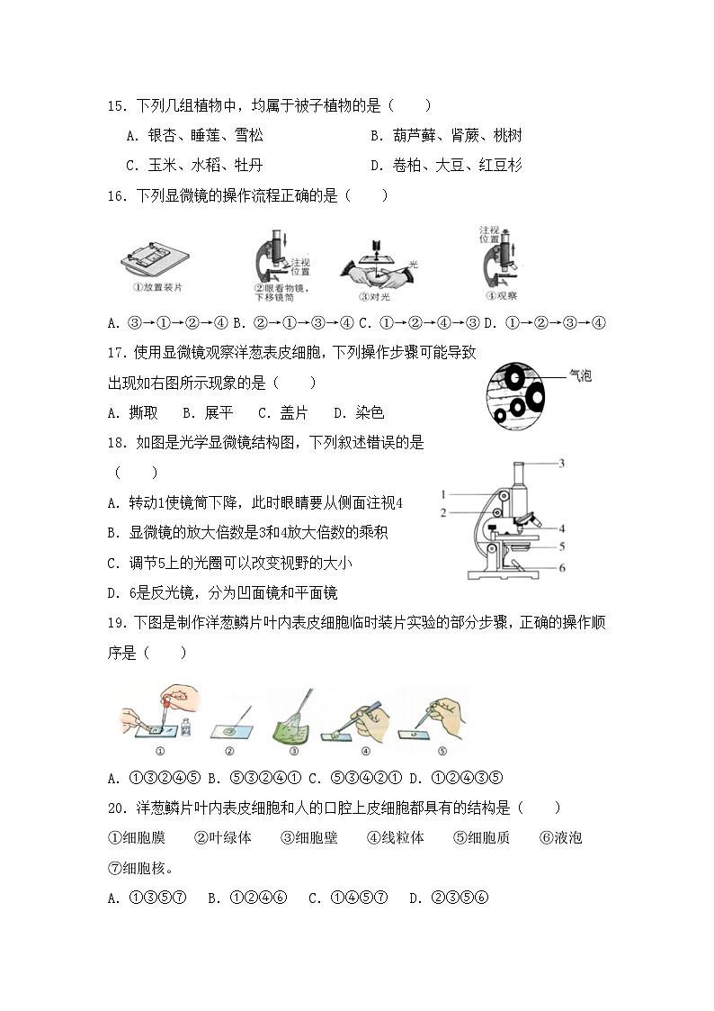 山东省德州市宁津县王铎中学2024--2025学年七年级上学期期中测试生物试卷第3页