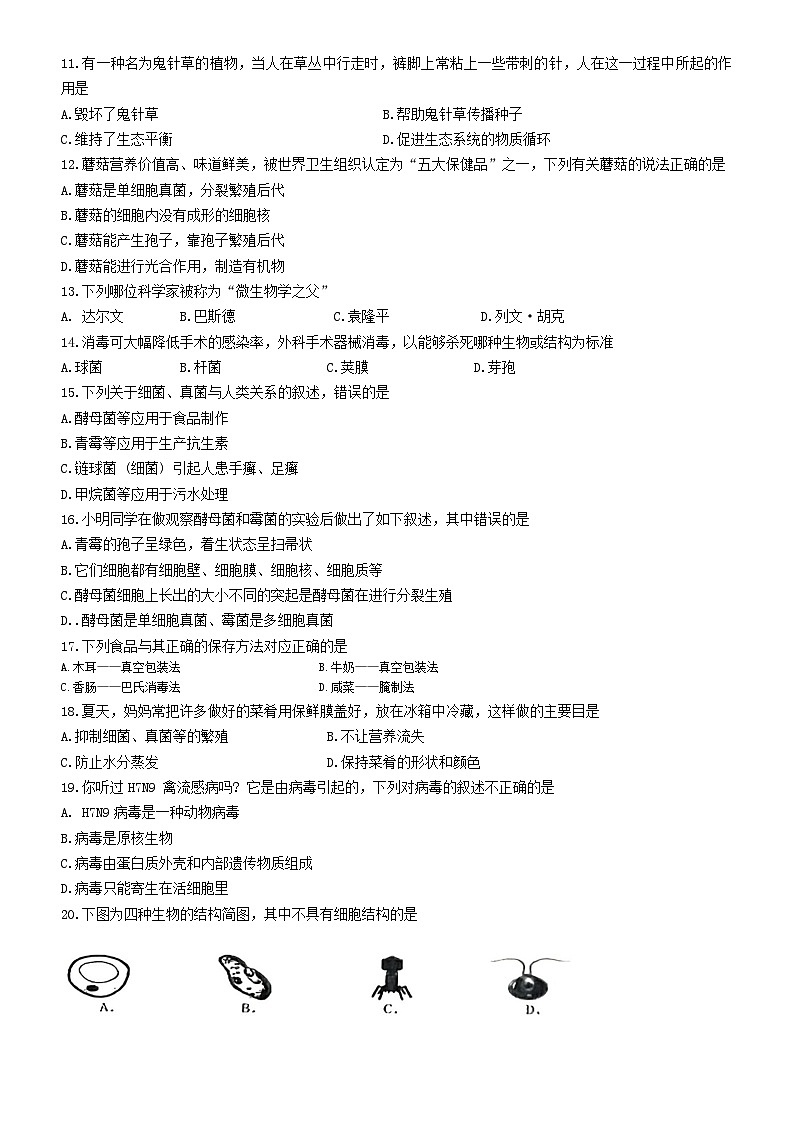 吉林省长春市农安县2024-2025学年八年级上学期10月期中生物试题02