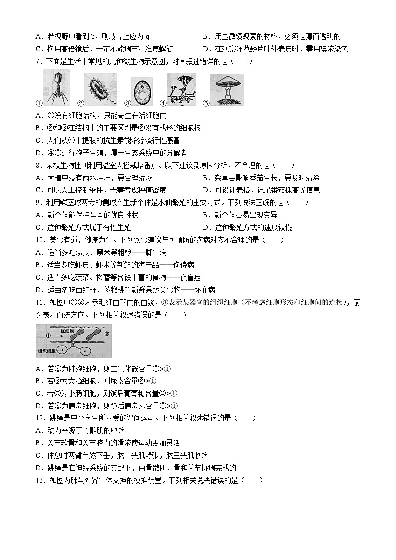2024年山东省济宁市中考生物试题第2页