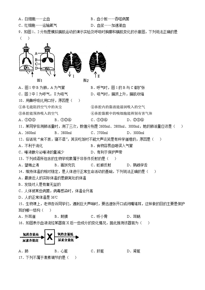 甘肃省兰州市天庆实验中学2023-2024学年七年级下学期期末生物试卷(无答案)第2页