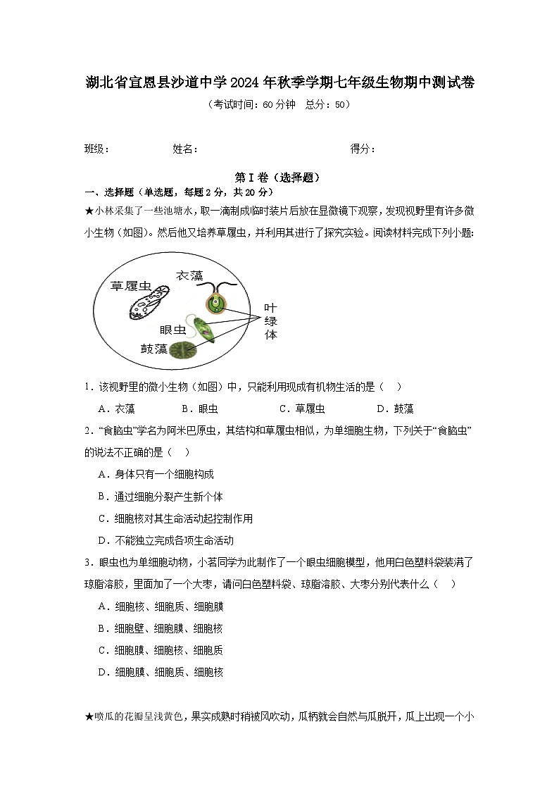 湖北省宣恩县沙道中学2024-2025学年七年级上学期生物期中测试卷第1页