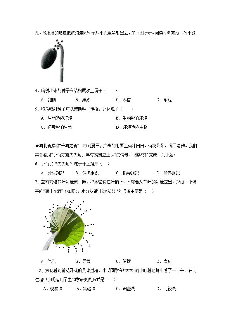 湖北省宣恩县沙道中学2024-2025学年七年级上学期生物期中测试卷第2页