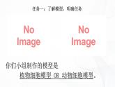 1.3 综合实践项目 制作细胞模型-初中生物七年级上册 同步教学课件+教学设计（人教版2024）