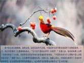 2.1.1 藻类、苔藓和蕨类-初中生物七年级上册 同步教学课件+教学设计（人教版2024）
