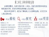 2.1.1 藻类、苔藓和蕨类-初中生物七年级上册 同步教学课件+教学设计（人教版2024）