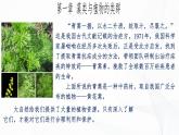 2.1.1 藻类、苔藓和蕨类-初中生物七年级上册 同步教学课件+教学设计（人教版2024）