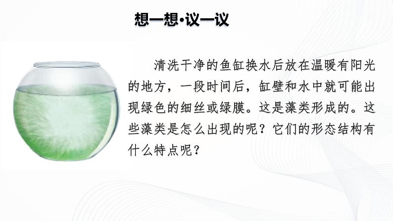 2.1.1 藻类、苔藓和蕨类-初中生物七年级上册 同步教学课件（人教版2024）第7页