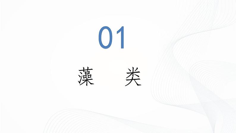 2.1.1 藻类、苔藓和蕨类-初中生物七年级上册 同步教学课件（人教版2024）第8页