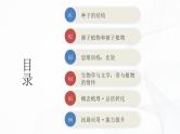 2.1.2 种子植物-初中生物七年级上册 同步教学课件+教学设计（人教版2024）