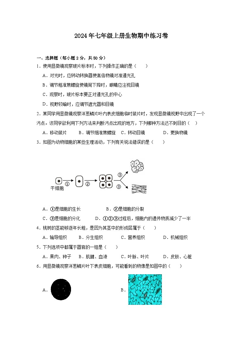 2024年七年级上册生物期中练习卷第1页