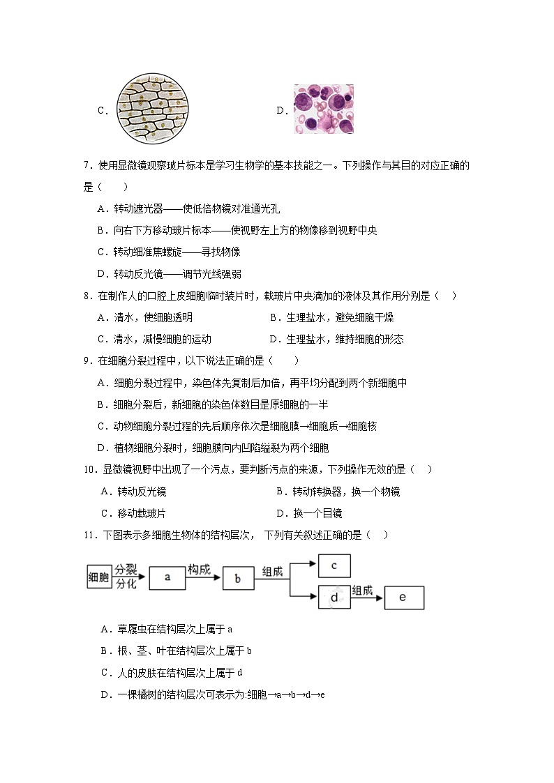 2024年七年级上册生物期中练习卷第2页
