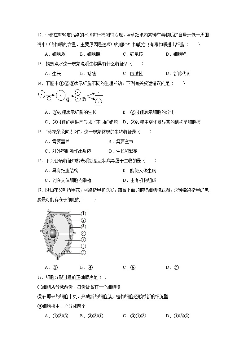 2024年七年级上册生物期中练习卷第3页