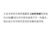 1.1.1  走进生物学实验室（第一课时）课件---2024-2025学年苏教版（2024版）七年级生物上册