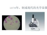 1.1.1  走进生物学实验室（第一课时）课件---2024-2025学年苏教版（2024版）七年级生物上册