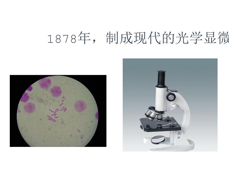 1.1.1  走进生物学实验室（第一课时）课件---2024-2025学年苏教版（2024版）七年级生物上册第5页