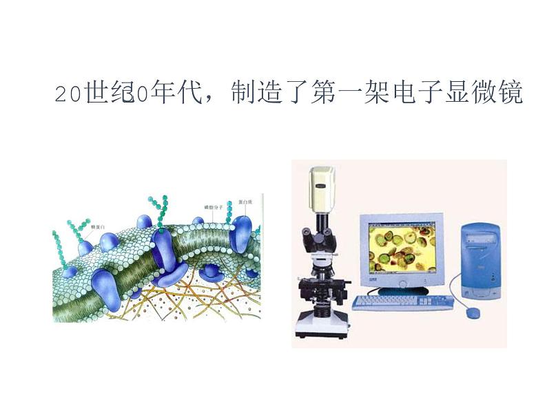 1.1.1  走进生物学实验室（第一课时）课件---2024-2025学年苏教版（2024版）七年级生物上册第6页