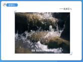 1.1.1走进生物学实验室 第1课时课件 ---2024-2025学年苏教版（2024版）七年级生物上册