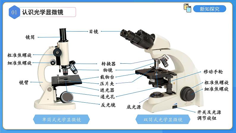 1.1.1走进生物学实验室 第1课时课件 ---2024-2025学年苏教版（2024版）七年级生物上册第7页