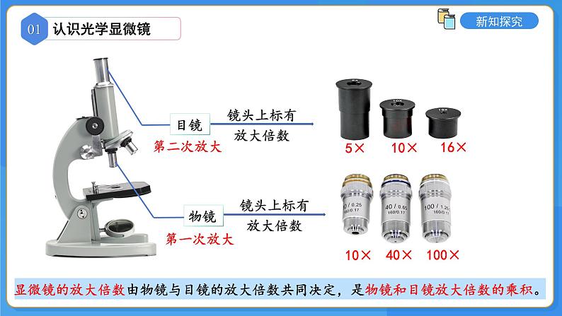 1.1.1走进生物学实验室 第1课时课件 ---2024-2025学年苏教版（2024版）七年级生物上册第8页