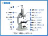 1.1.1走进生物学实验室 第2课时课件 2024-2025学年苏教版（2024版）七年级生物上册