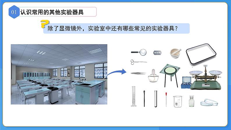 1.1.1走进生物学实验室 第2课时课件 2024-2025学年苏教版（2024版）七年级生物上册第4页