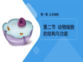1.1.2动物细胞的结构与功能课件2024-2025学年苏教版（2024版）七年级生物上册