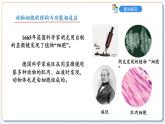 1.1.2动物细胞的结构与功能课件2024-2025学年苏教版（2024版）七年级生物上册