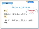 1.1.2动物细胞的结构与功能课件2024-2025学年苏教版（2024版）七年级生物上册