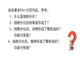 1.2.1细胞的分裂和分化第2课时课件---2024-2025学年苏教版（2024版）七年级生物上册