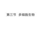 1.2.3  多细胞生物  课件---2024-2025学年苏教版（2024版）七年级生物上册