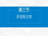 1.2.3 多细胞生物 课件---2024-2025学年苏教版（2024版）七年级生物上册