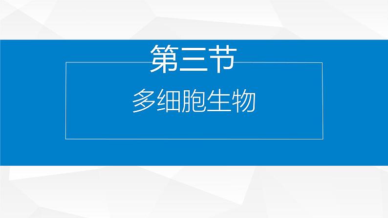 1.2.3 多细胞生物 课件---2024-2025学年苏教版（2024版）七年级生物上册第1页