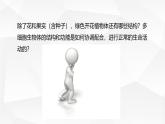 1.2.3 多细胞生物 课件---2024-2025学年苏教版（2024版）七年级生物上册